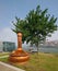 Copper and tree, Porto, Portugal