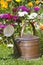 Copper watering can stands in front flowerbed