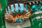 Copper wire winding. Inverter inductor detail. Colored electronic parts