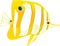 Copperband butterflyfish