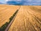 Cops wheat, corn, rye, oats destroyed after rain Wheat, corn, rye, oats  partly lying down in field after heavy rain. Aerial photo