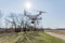 Copter with high resolution digital camera in flight