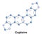 Coptisine alkaloid Chinese goldthread