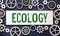 copy space. Business, ecology and taxonomy or economy concept