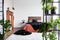 Copy space on empty white wall of rustic bedroom interior with king size bed with orange bedding and black duvet