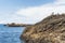 Copy-space of seals and birds on intertidal rocks