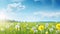 copy space, stockphoto, Beautiful spring meadow field with fresh grass and yellow dandelion flowers in nature