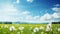 copy space, stockphoto, Beautiful spring meadow field with fresh grass and yellow dandelion flowers in nature