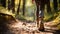 copy space, stockphoto, Close up of female hiker feet walking outdoors in the forest, female legs walking on a forest trail.