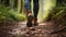 copy space, stockphoto, Close up of female hiker feet walking outdoors in the forest, female legs walking on a forest trail.