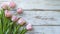 copy space, stockphoto, springtime pink tulips on white rustic wooden background for Mothers Day. Mother\\\'s day mockup.