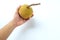 Copy space woman Hand holding one ripe Santolor Sentul fruit Sandoricum koetjape isolated on white background.