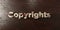 Copyrights - grungy wooden headline on Maple - 3D rendered royalty free stock image