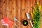 Copyspace frame with gardening tools and objects on old wooden background