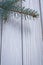 Copyspace image branch of pinetree on old white painted wooden b