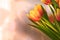 Copyspace with orange and yellow tulips. Closeup of a bunch of beautiful flowers with vibrant petals and green stems