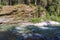 Coquihalla river Idyllic landscape with green forest in British Columbia Canada