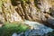 Coquihalla river Idyllic landscape with green forest in British Columbia Canada