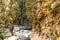 Coquihalla river Idyllic landscape with green forest in British Columbia Canada