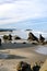 Coquille Point Beach, Kronenberg park, Bandon, Coos County, Oregon