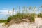 Coquina Beach Sand Dunes and Beach Grass at Nags Head