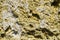 Coquina natural porous stone. construction material