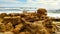 Coquina Rock mounds standing guard from waves