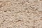 Coquina stone texture