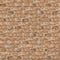 Coquina Wall. Seamless Tileable Texture.
