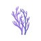 Coral, aquatic marine plant, underwater seaweed vector Illustration