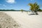 Coral atoll tropical island and palm trees