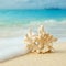 Coral on the beach. Blue crystal sea of tropical beach. Diving, snorkling. Ocean beach relax, travel to islands