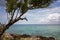 Coral beaches and turquoise water on the wild noon coast of Cuba, Bay of Pigs