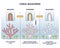 Coral bleaching process with stressed and bleached stages outline diagram