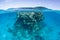 Coral Bommie in Polynesian Lagoon