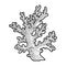 Coral branch sketch vector illustration