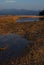 Coral coast landscape on sunset with low tide  - yellow and brown coastline of pebble and smooth blue puddles of sea water, dark.