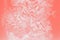 Coral color abstract background. Floral gradient background, delicate carnation flowers pattern