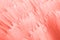 Coral colored floral background