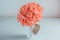 coral-colored hydrangea branch stands in white