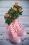 Coral-colored roses with water droplets on the leaves in pink rubber sneakers on a wooden background