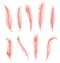 Coral detailed feathers of bird collection. Vector decorative fluffy pink feathers of flamingo or goose. Set plume icon