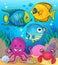 Coral fauna theme image 2