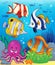 Coral fauna theme image 5