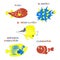 Coral fishes set. Vector cartoon color image.