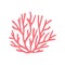 Coral isolated hand drawing. vector on white background. marine