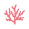 Coral isolated hand drawing. on a white background