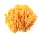 Coral mushroom Ramaria flava Changle