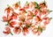 Coral orange flower white background