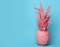 Coral painted pineapple on light blue background